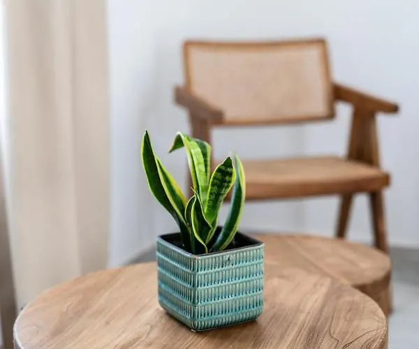 فندق Madalena Mykonos Town