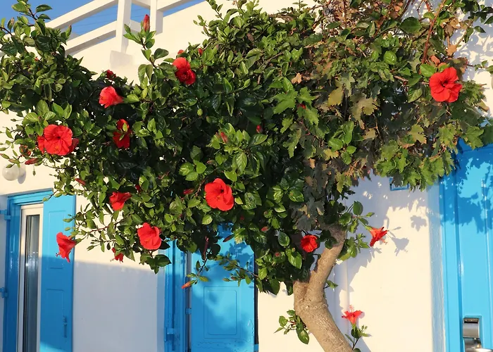 ホテル Madalena 3*