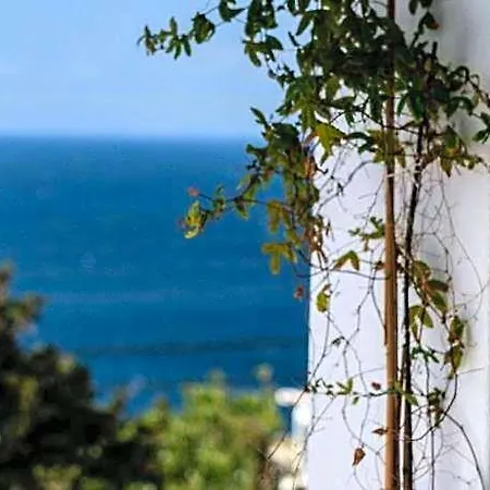 Madalena Otel