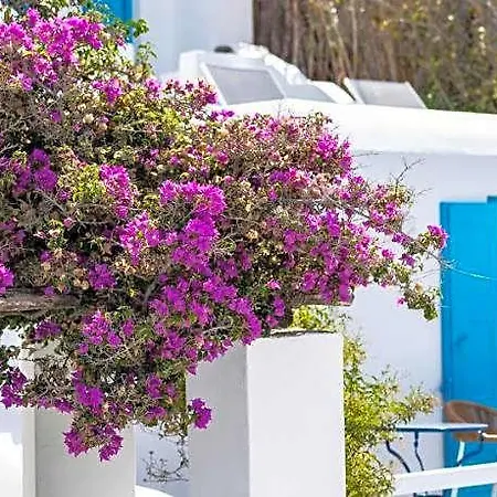 Madalena Otel