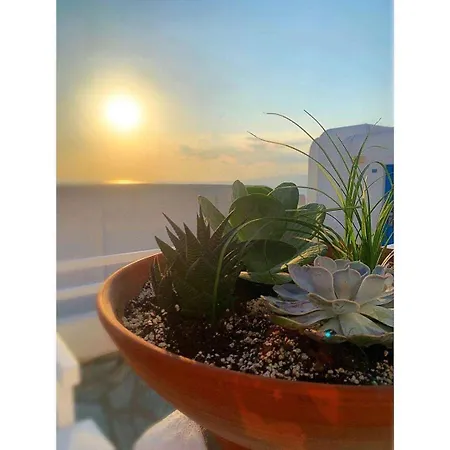 Madalena Otel Mykonos Town